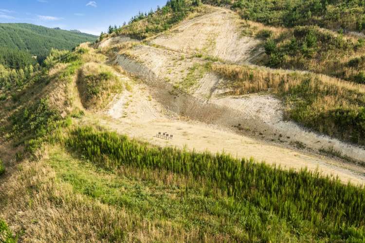 234 Teapot Valley Road Brightwater_12