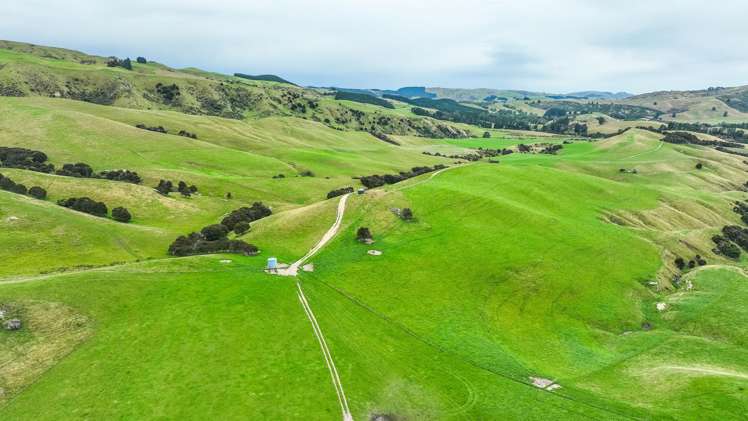 48 Heathfield Road Greta Valley_8