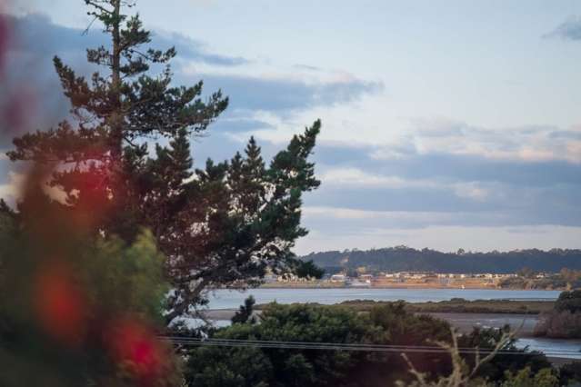 169c Colwill Road Massey_1