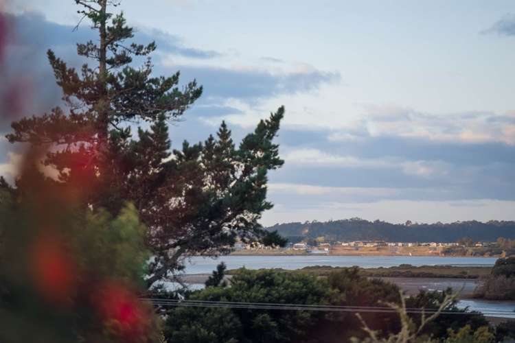 169c Colwill Road Massey_1