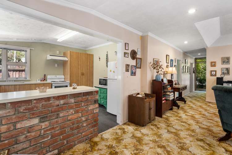 10 Shelley Street Sydenham_13