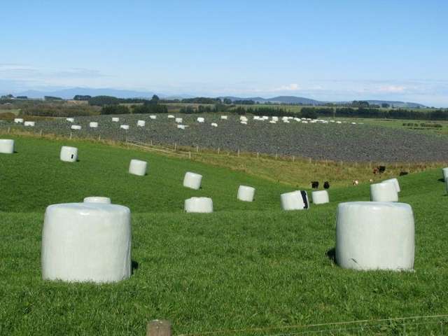 252 Hamilton Road Otautau_3