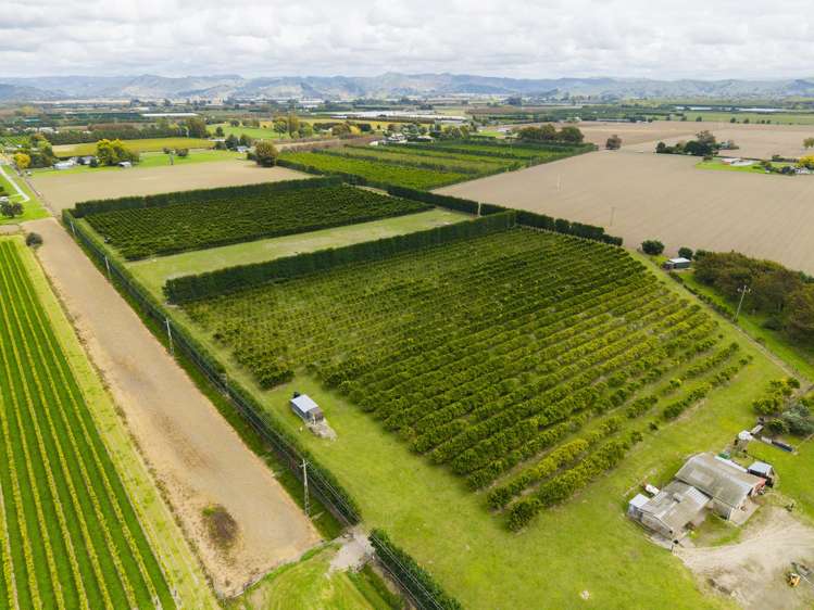 209 Bell Road Makaraka_28