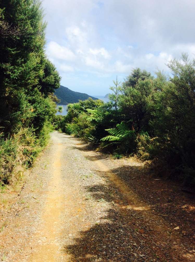 205 Kaiaraara Bay Road Great Barrier Island (Tryphena)_25