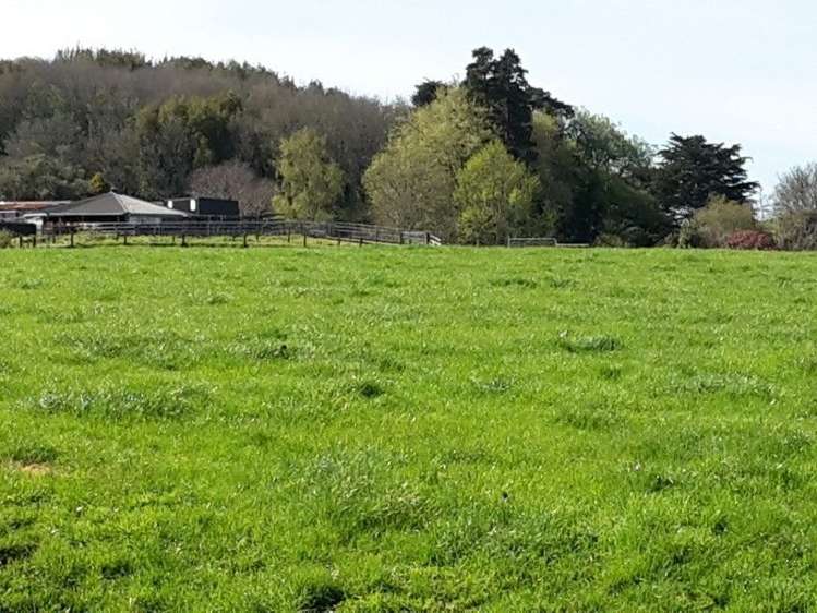 346 Rugby Road Tariki_79