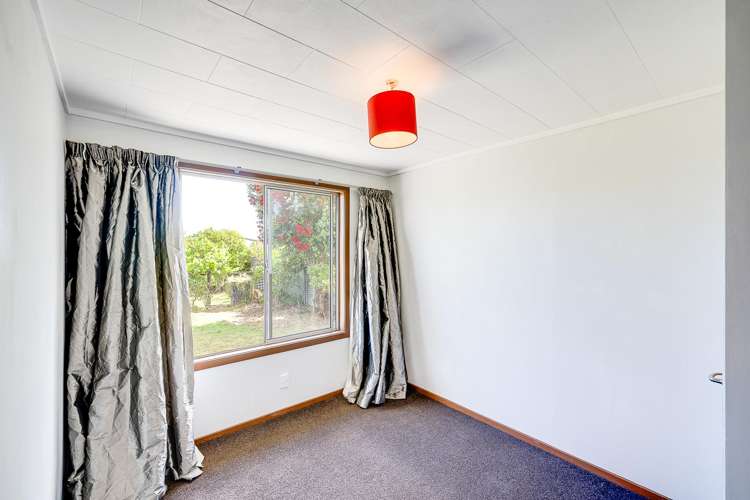 5 Plunket Street Tamatea_11