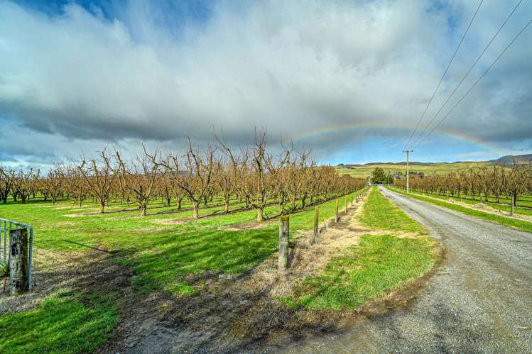 108 Mount Erin Road Havelock North_30