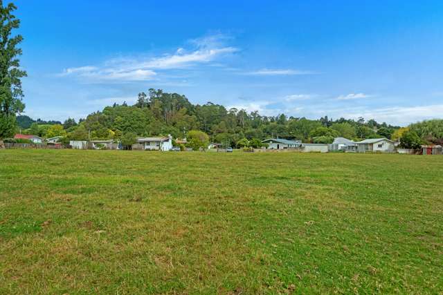 18a Massey Road Mangapapa_3