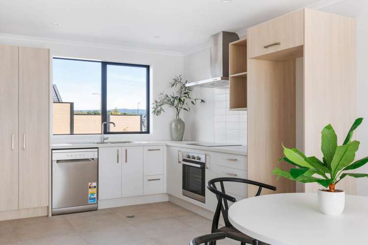 5 Te Ara Tanekaha Omokoroa_10