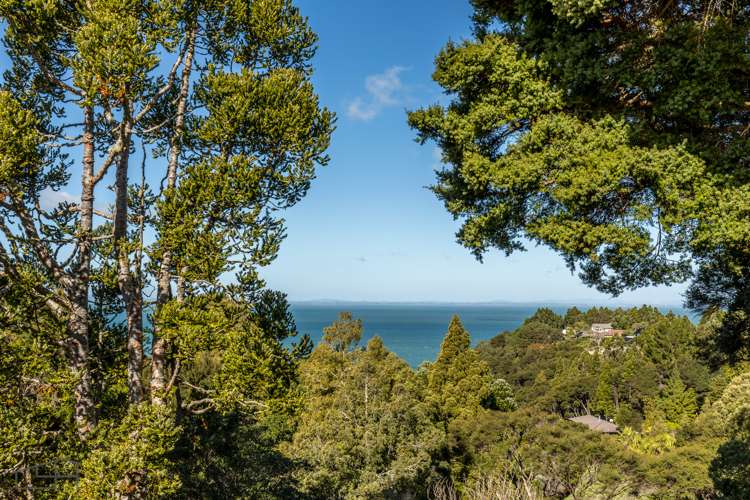 742 South Titirangi Road Titirangi_7