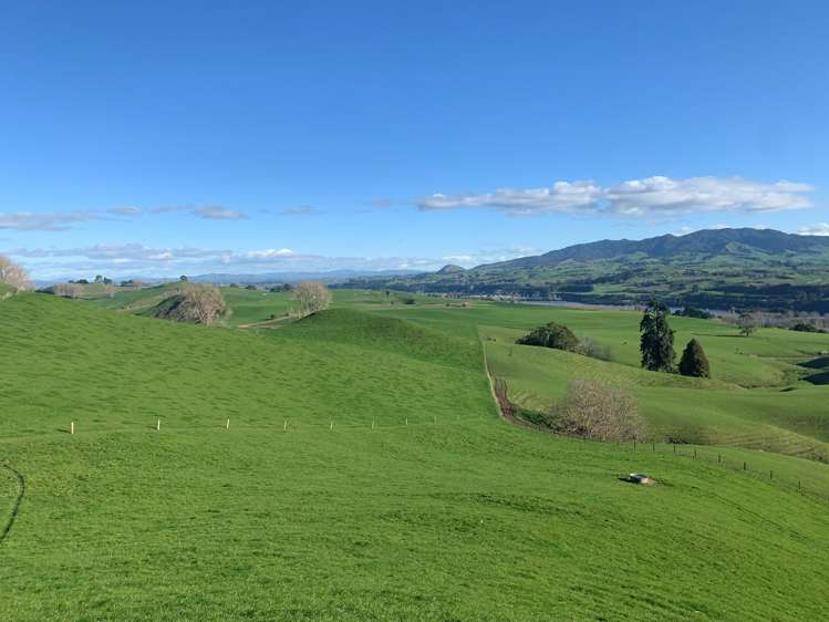 254 State Highway 1 Hauraki Surrounds_19