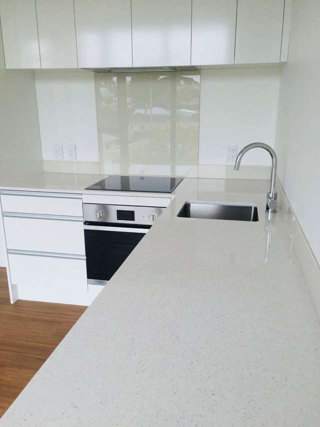 505/433 Dominion Road Mt Eden_2