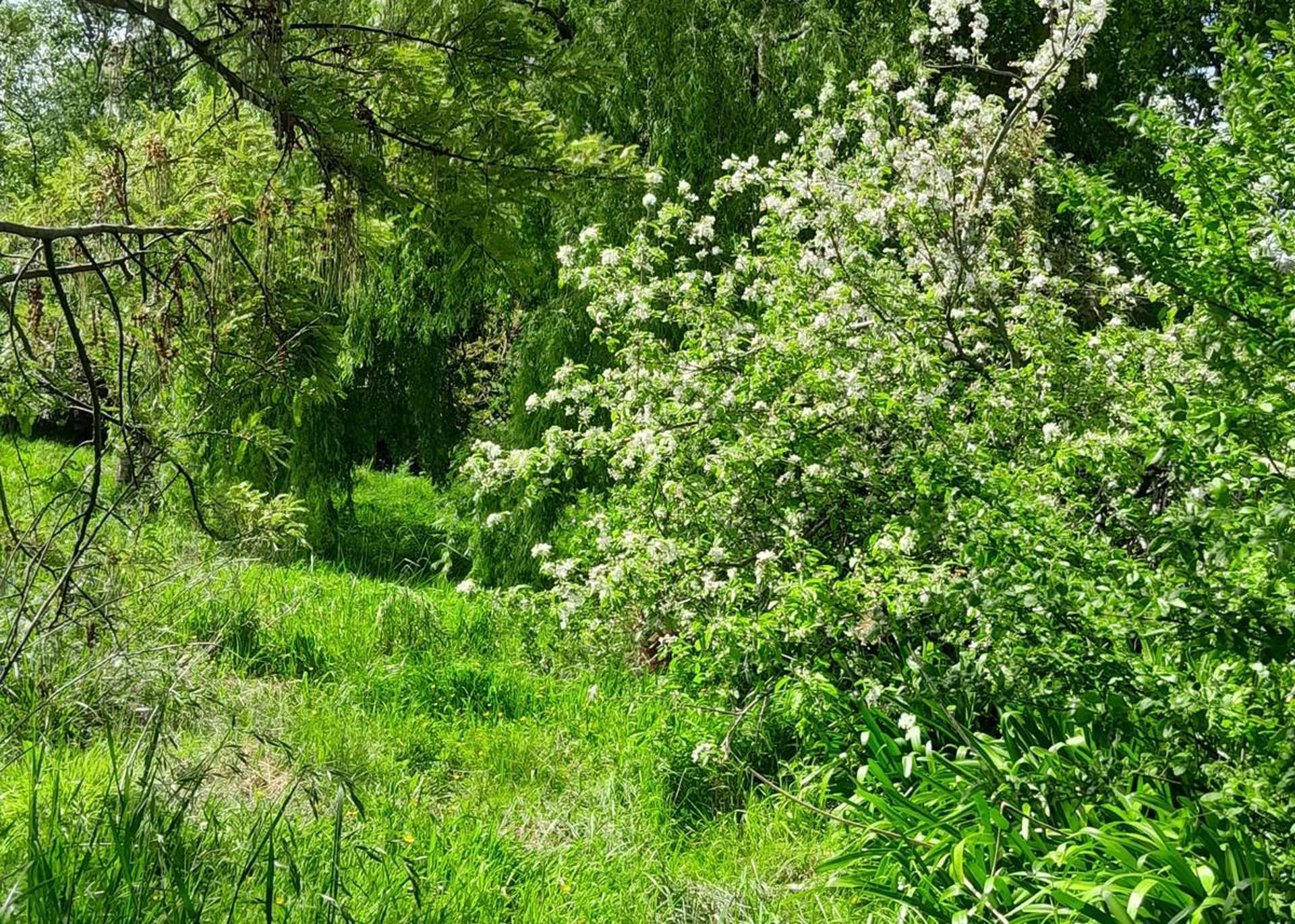 319a Makirikiri Road Marton_0