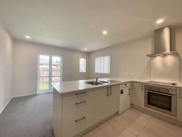 45 Tribute Loop Takanini_1