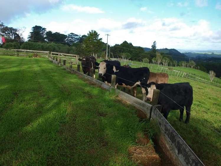 735 State Highway 14 Maunu_11