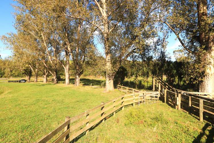 2232b Waihi-Whangamata Road Road Whiritoa_22