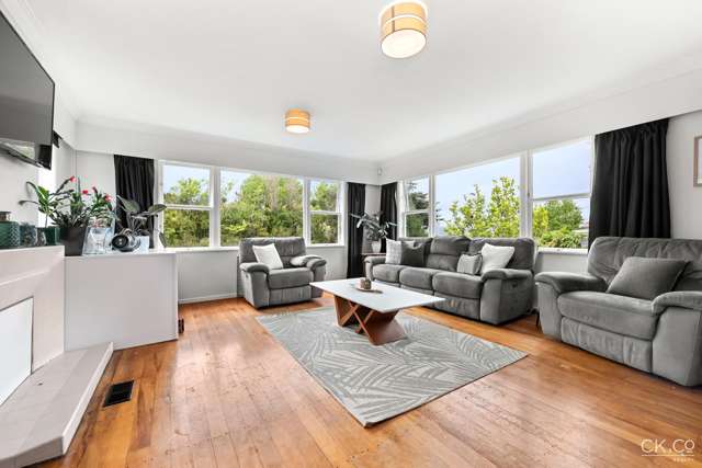 13 Kahikatea Lane Brown Owl_3