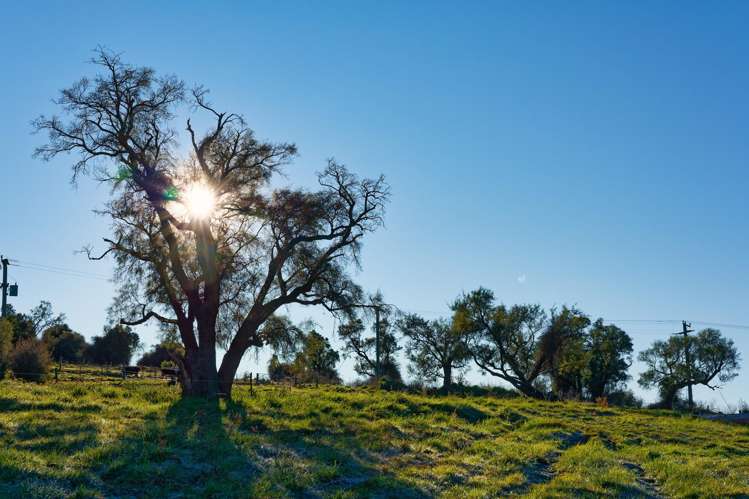 4/759 Mount Fyffe Road Kaikoura_17