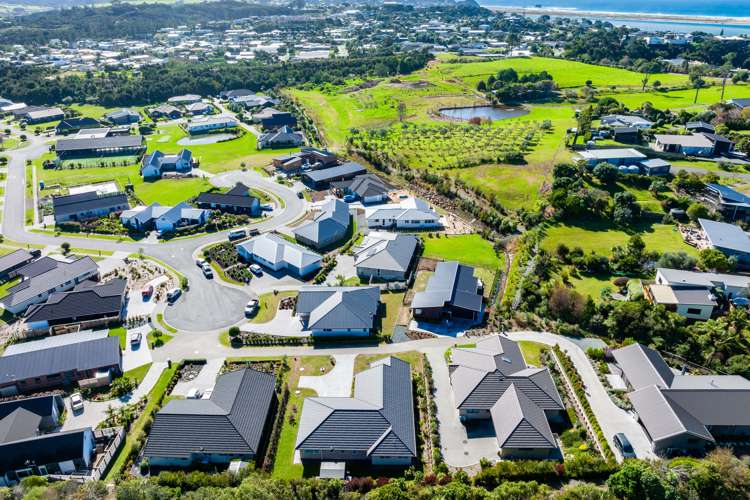 32 Park Rise Mangawhai Heads_22