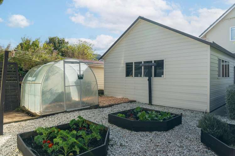 247 Herbert Street Windsor_34