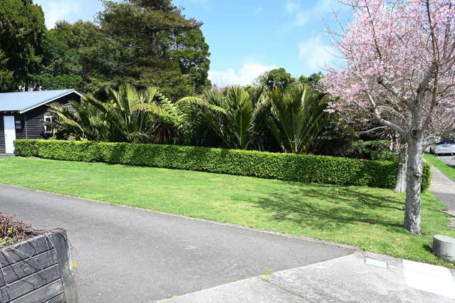 72 Gilbert Street New Plymouth_3