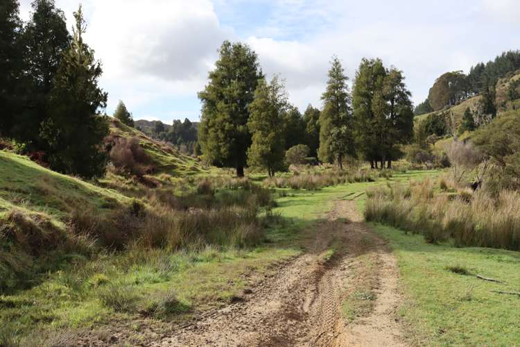 4869 Ohura Road Pohokura_29