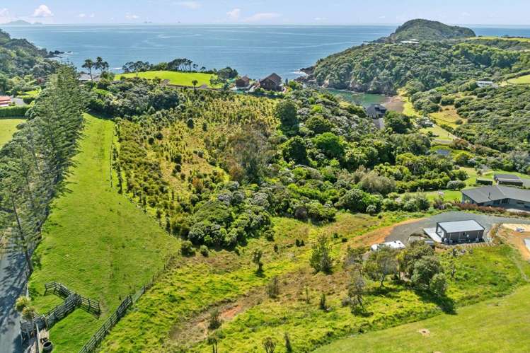 13 Piwaiwaka Way Whangarei_0