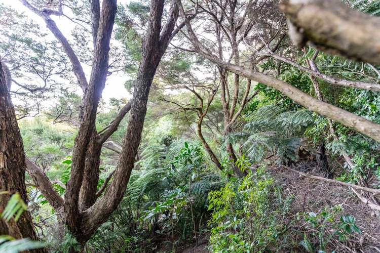 23 Wintle Street Mangawhai Heads_21