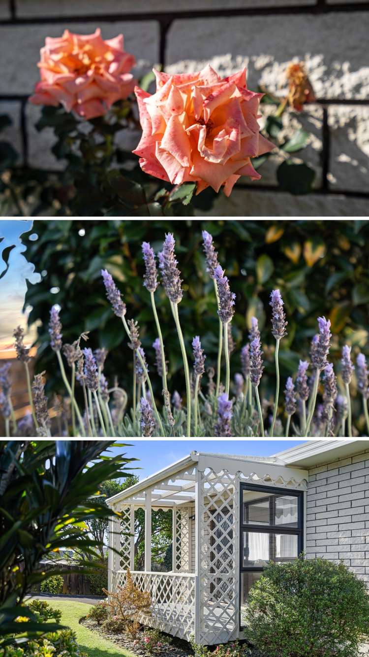 40a Cambridge Road Judea_14