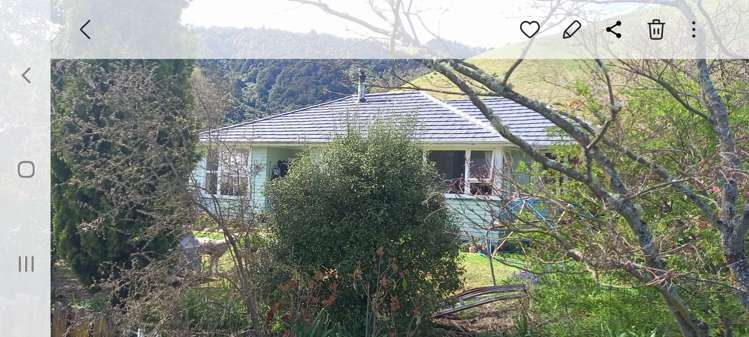 9 Tawa Place Tapawera_3