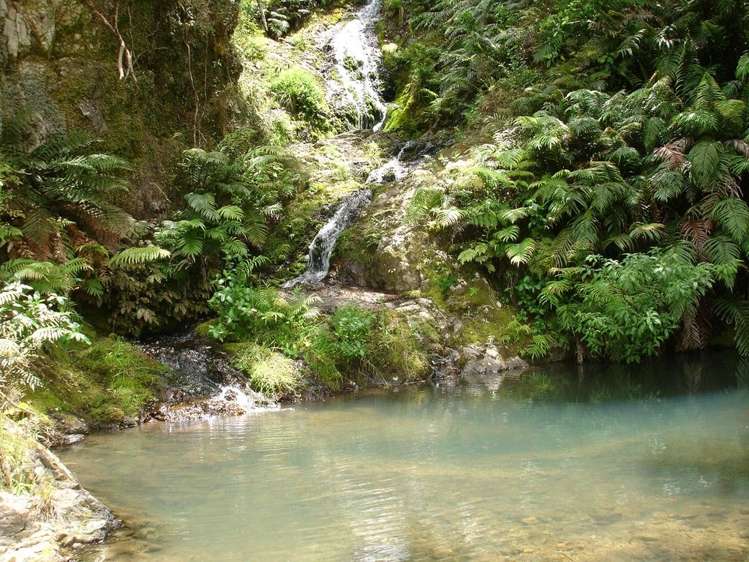 361 Kaiikanui Road Hukerenui and Surrounds_35