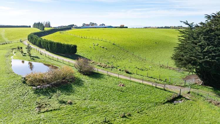 305C Waimumu Road Waimumu_7