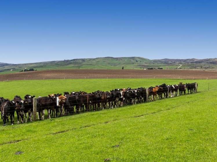 8727 Hyde-Middlemarch Road Hyde_19