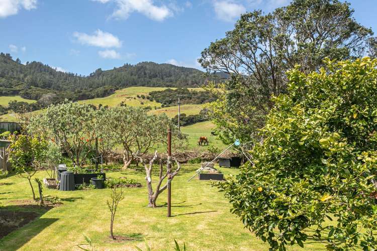 60 Carey Road Coromandel_13