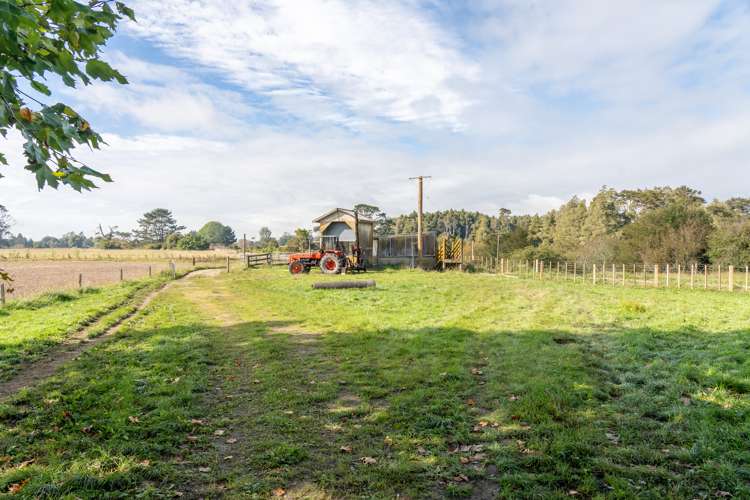 166 Crawford Road Te Kowhai_13