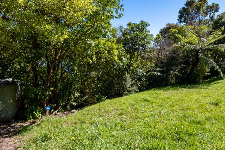 Port Underwood Road Port Underwood_16