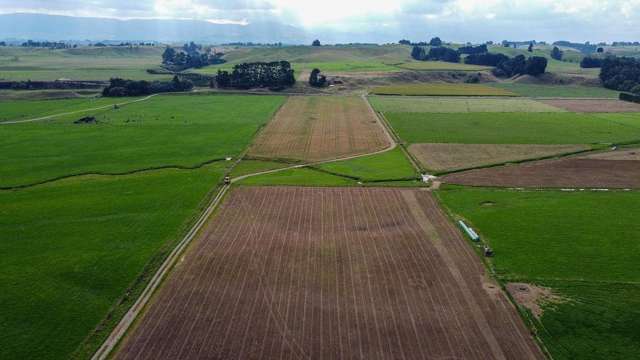 399 Cowper Road Dannevirke_1