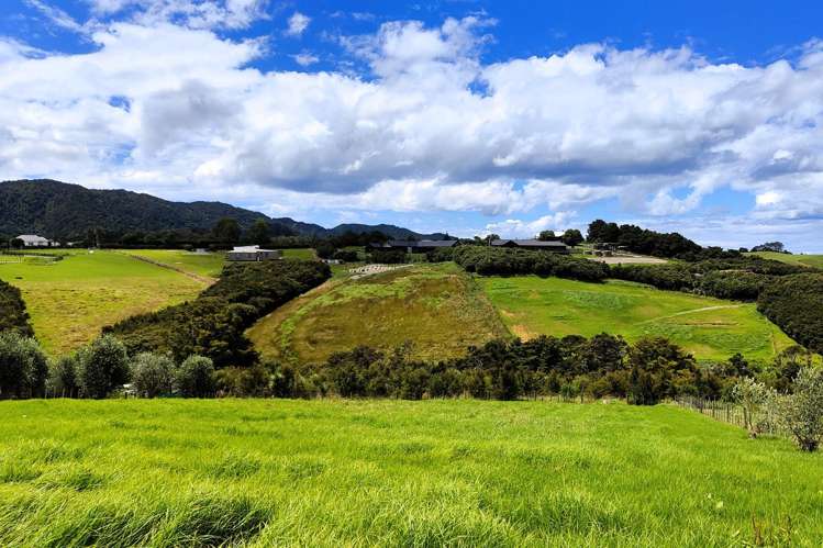 463 King Road Mangawhai_3