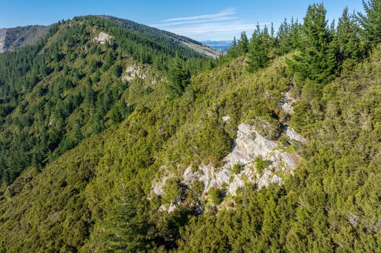 793 Waikakaho Road Tua Marina_10