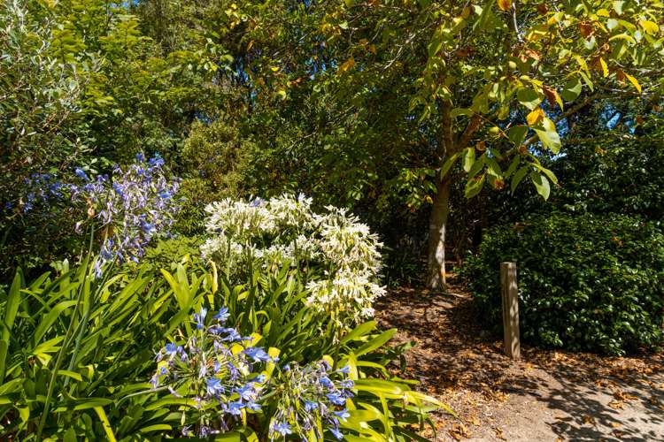 568 Upper Plain Road Upper Plain_24