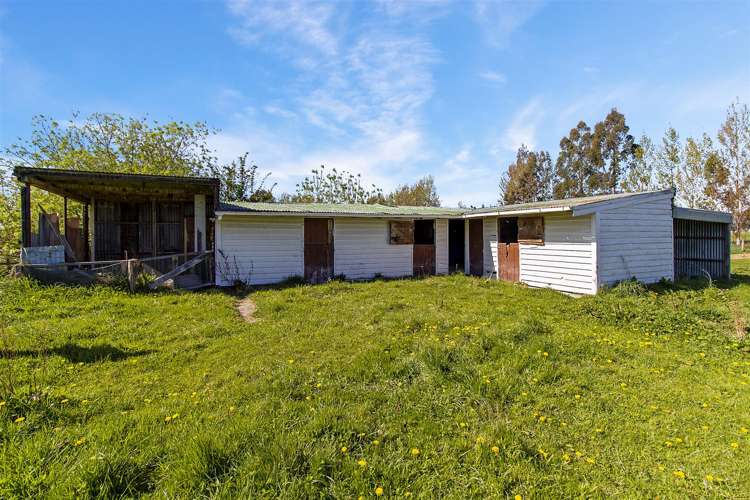 31 Timaru Road Waimate_21
