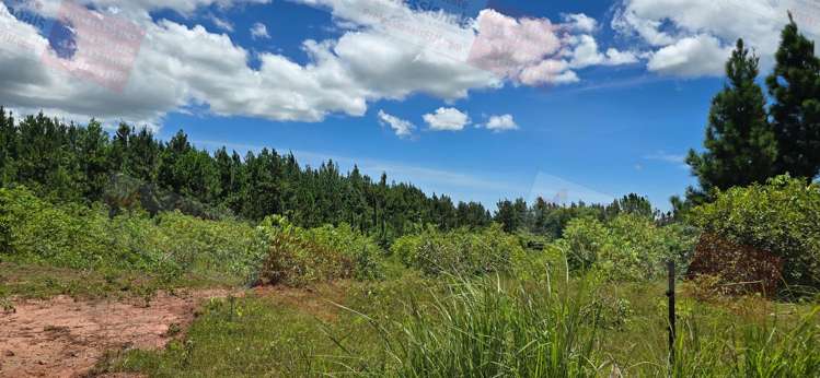 Address withheld Nadi_31