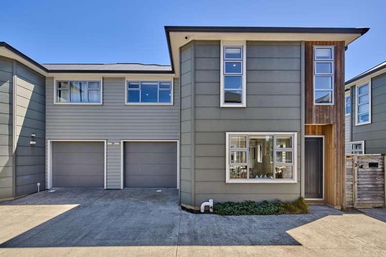 3 Rose Way Hutt Central_0