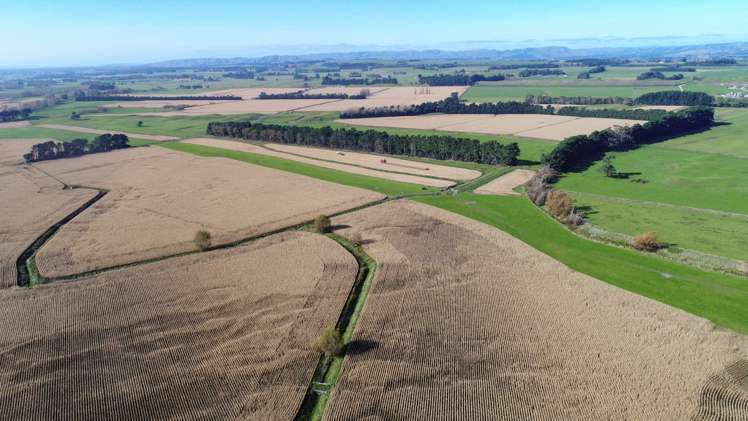 420a Kahutara Road Kahutara_15