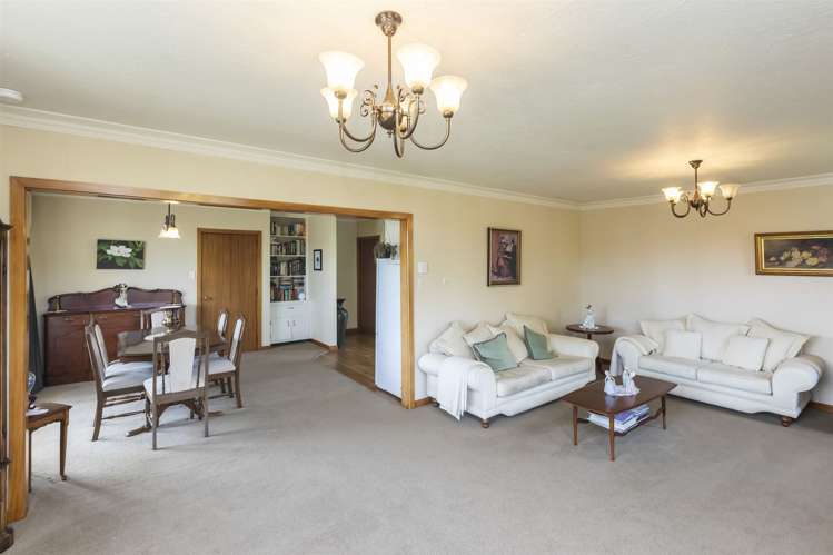 7 Player Place Shirley_6