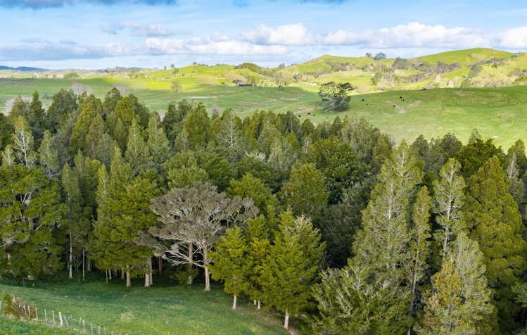 272 Huarau Road Maungaturoto_33