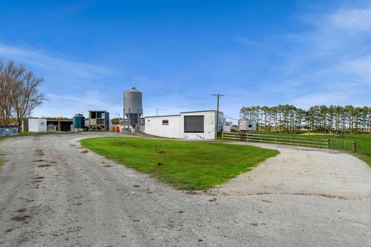 294 Kiri Road Te Kiri_17