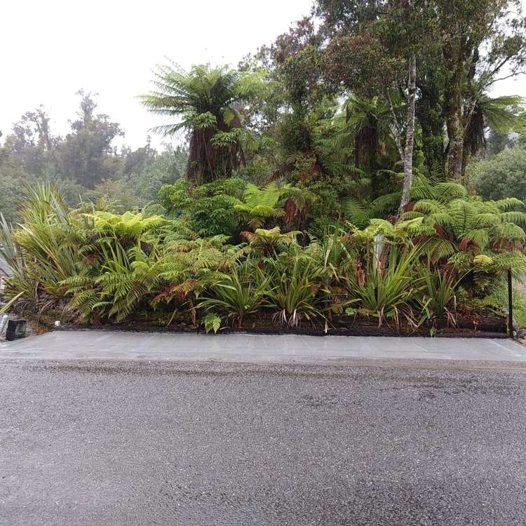 5 Middleton Place Franz Josef Glacier_2