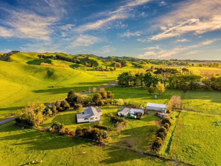 559 Raukawa Road Raukawa_14