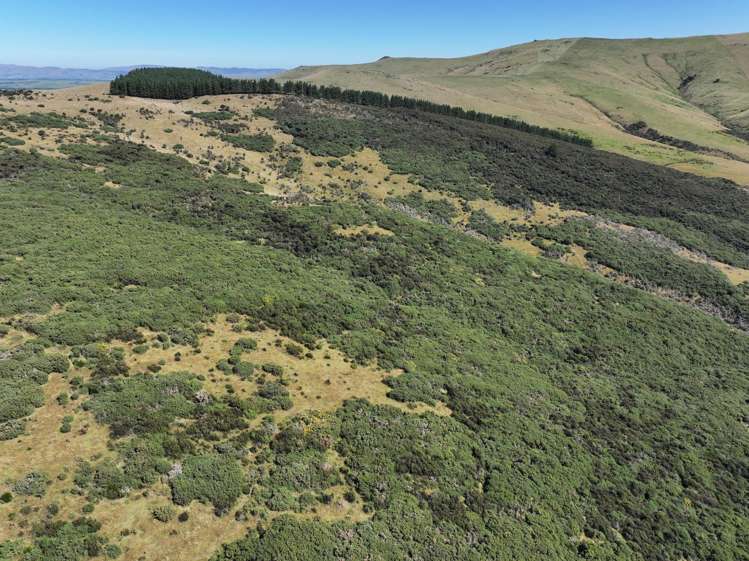 201 Sheepwash Creek Road Ardlussa_5